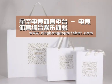 项目名称十一