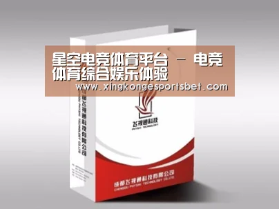 项目名称十三