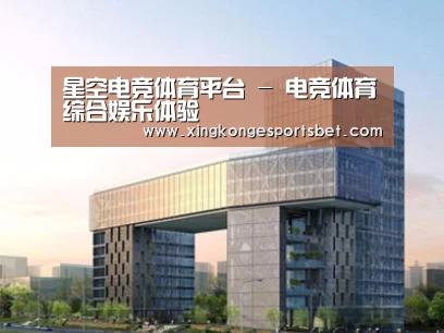 案例展示四