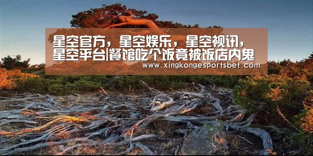 星空官方,星空娱乐,星空视讯,星空平台|餐馆吃个饭竟被饭店内鬼盗刷12万(图1) 星空官方,星空娱乐,星空视讯,星空平台