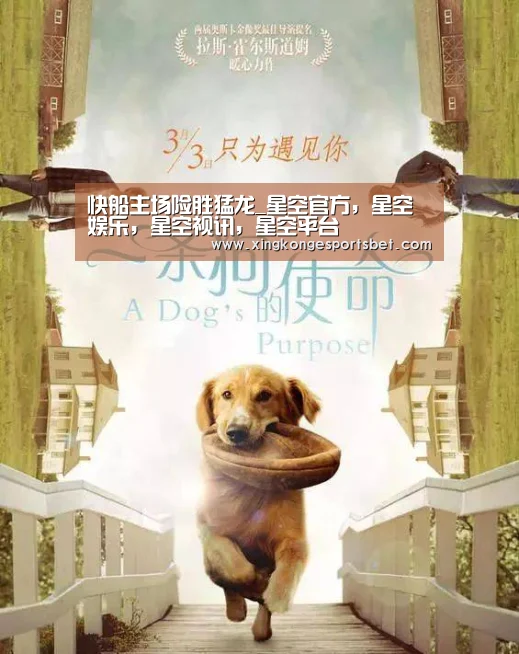 星空官方，星空娱乐，星空视讯，星空平台