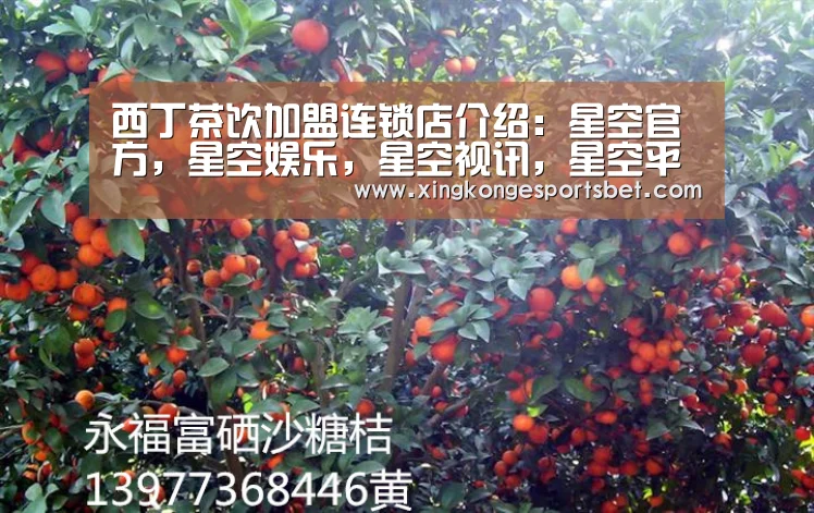 西丁茶饮加盟连锁店介绍:星空官方,星空娱乐,星空视讯,星空平台(图1) 星空官方,星空娱乐,星空视讯,星空平台